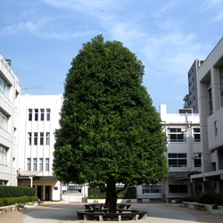 10/31(土)学校説明会を開催！　新渡戸文化