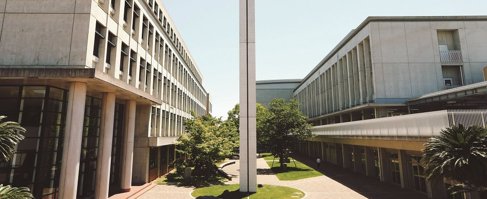 学院 学校 仁川 高等